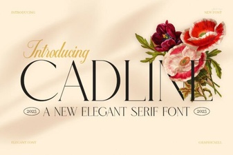 Cadline Font Design Trends and Creative Uses